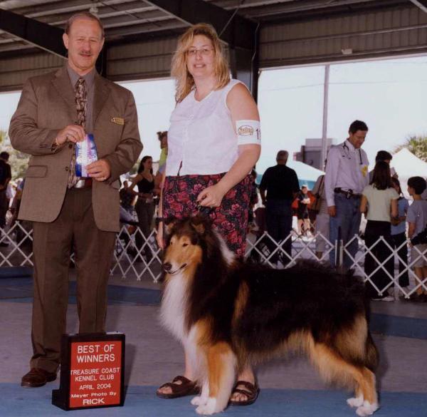 Orion's Spitfire MacLeod | Rough Collie 