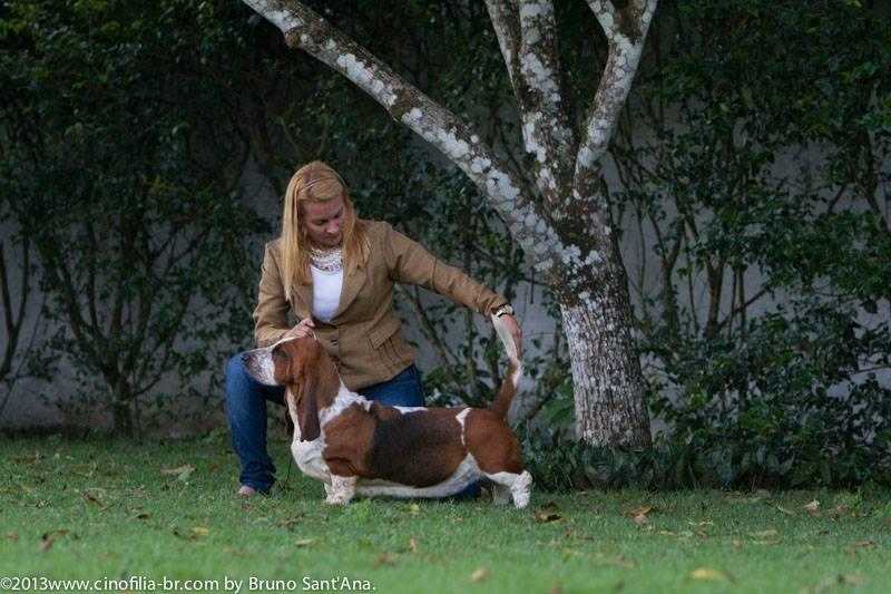 BRAVE BASSET JULIA | Basset Hound 