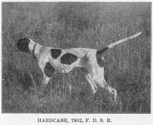 Hard Cash (1903) | Pointer 