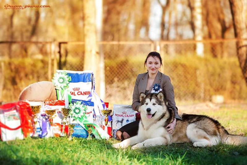 Red Family Taifun | Alaskan Malamute 