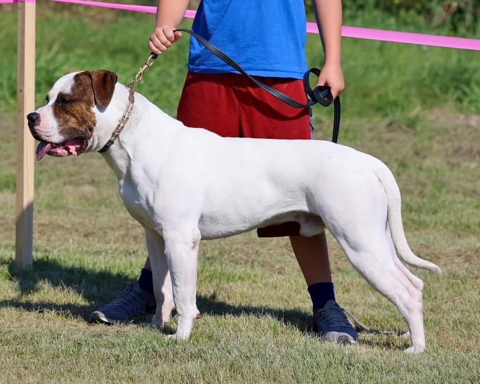 Roper Punisher of Broken Oaths (aka Orcus of Dk9) | American Bulldog 