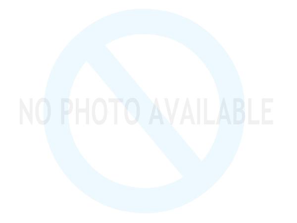 Rodonnas Travellin in Style | Boston Terrier 