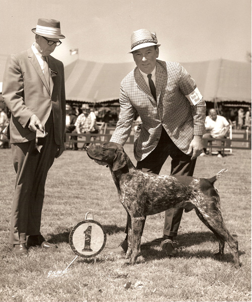 ROBIN CREST RINGO RIANT | German Shorthaired Pointer 