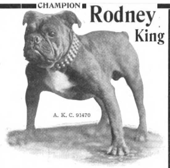 Rodney King 091470 or 091470 vXXII | Bulldog 