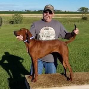 Crazy Mountain Midnite Ruby | Redbone Coonhound 