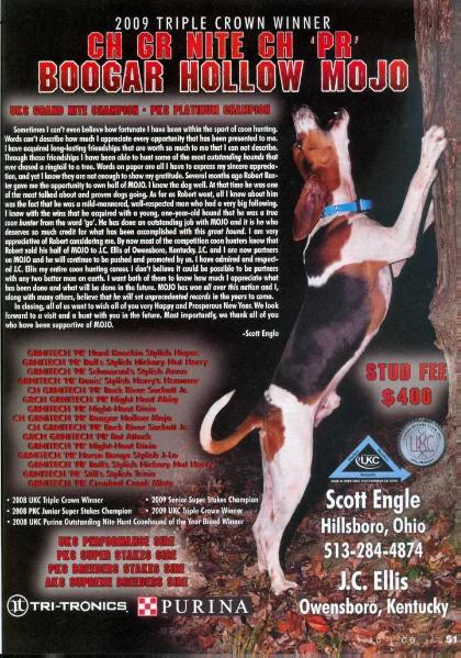 Boogar Hollow Mojo | Treeing Walker Coonhound 