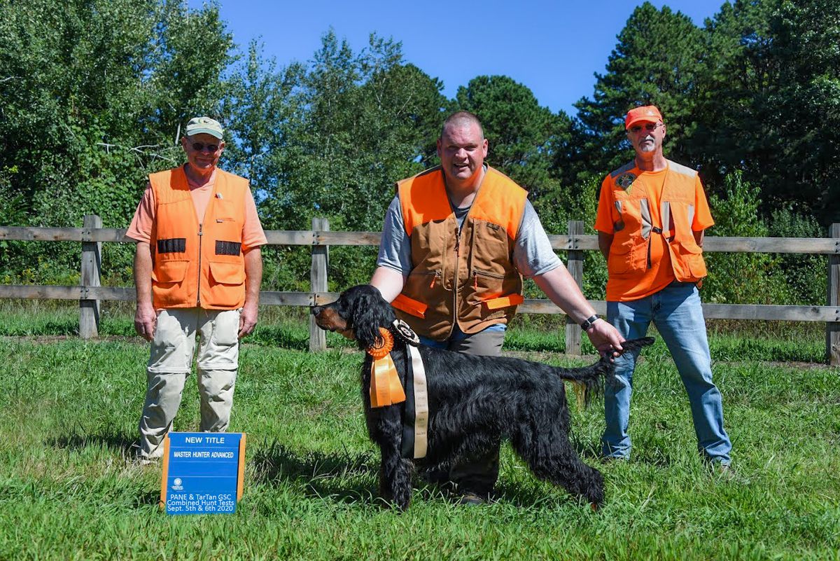 Glen 'Mor's Highland Ranger | Gordon Setter 