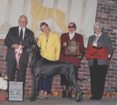 Wiedanes Tootsies Orchid Lounge | Great Dane 