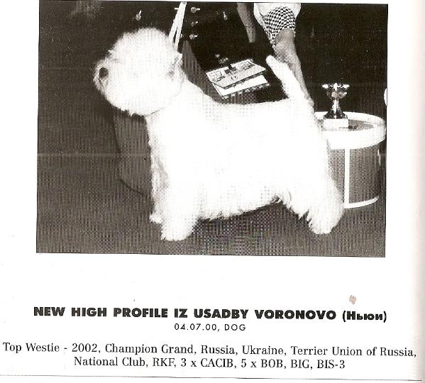 New High Profile iz Usadby Voronovo | West Highland White Terrier 