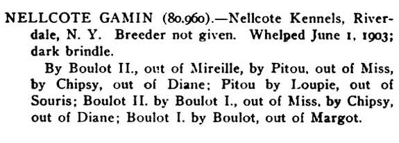 Nellcote Gamin 80960 vXXI | French Bulldog 