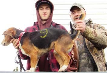 Dave's Foxhill Batman | Beagle 