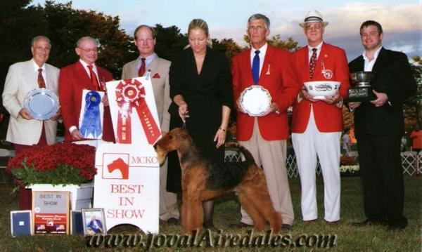 Timberwyck Maximum Overdrive | Airedale Terrier 