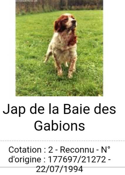JAP de la Baie des Gabions | Brittany 