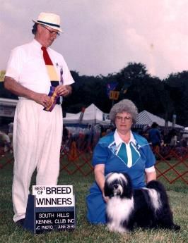 KIARA KATHMANDU'S SHOW BIZ LIZ | Tibetan Terrier 