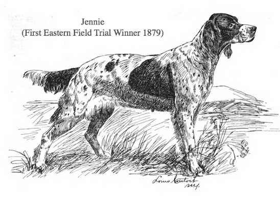 Jennie (First Eastern Field Trial Winner 1879) | English Setter 