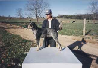 Uchtmans Blue Albert | Bluetick Coonhound 