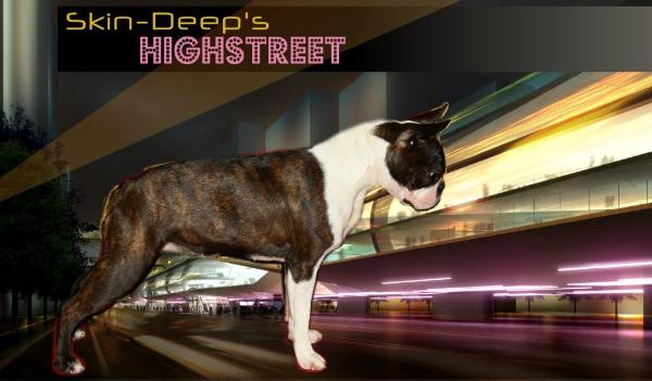 Skin-Deep's High Street | Boston Terrier 