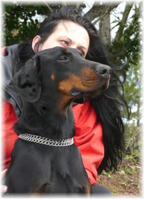 Dolce Divina du Castel Faygora | Black Doberman Pinscher