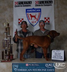 Moonlight Mudslingin Maniac | Redbone Coonhound 