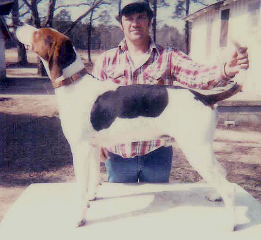 Yadkin River Jeff | Treeing Walker Coonhound 