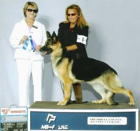 Signature's Vela Voncharisma Kridler | German Shepherd Dog 