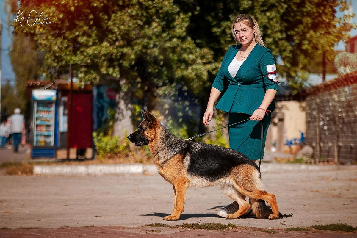 Team White Castle Odaschi | German Shepherd Dog 