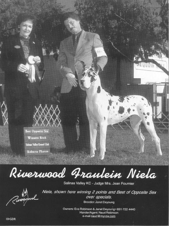 Riverwood Fraulein Niela | Great Dane 