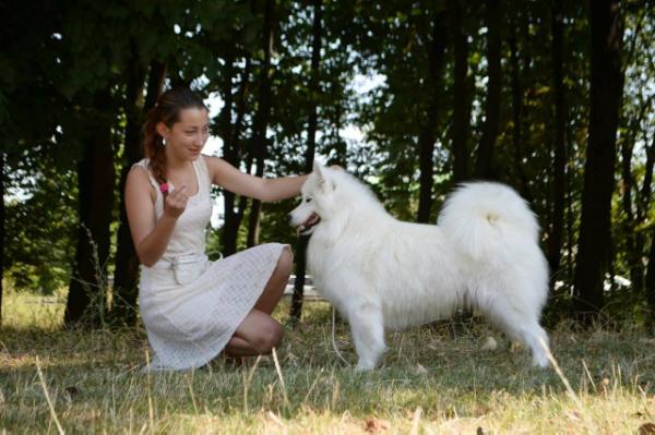 Pellegrina Iz Moskovskoy Metely | Samoyed 