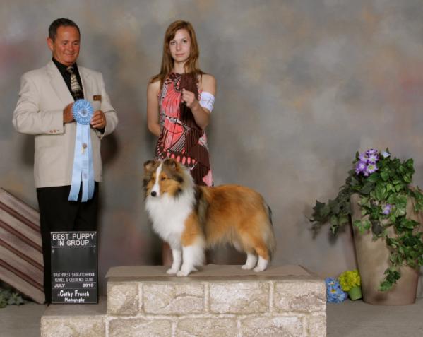 CanyonView She Can Dance | Shetland Sheepdog 