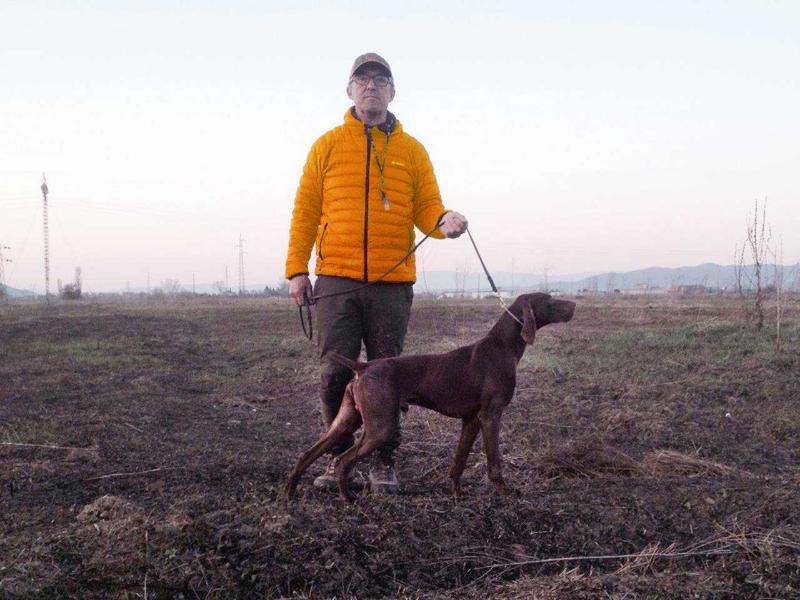 Pradellinensis Giallo | German Shorthaired Pointer 