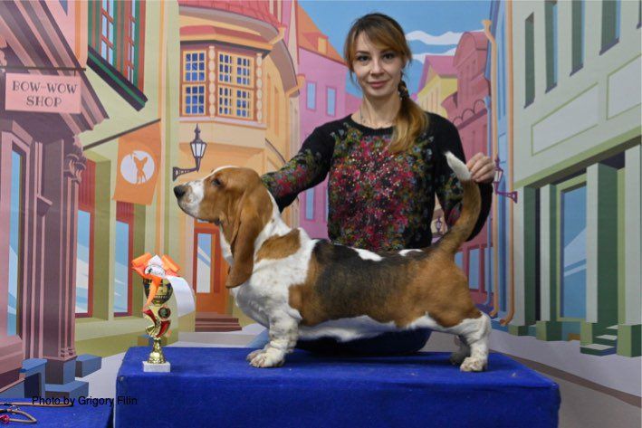 Vezuvii Opra Tres Manzanas | Basset Hound 