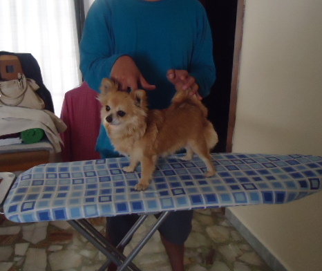 Crema Con Leche Hnos Garcia Gil | Chihuahua 