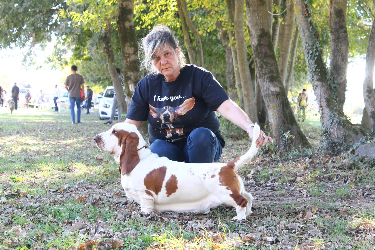 Victory Queen's Hermelín | Basset Hound 