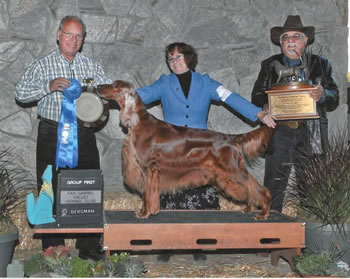 Devin's Jewel Of Meadow Run | Irish Setter 