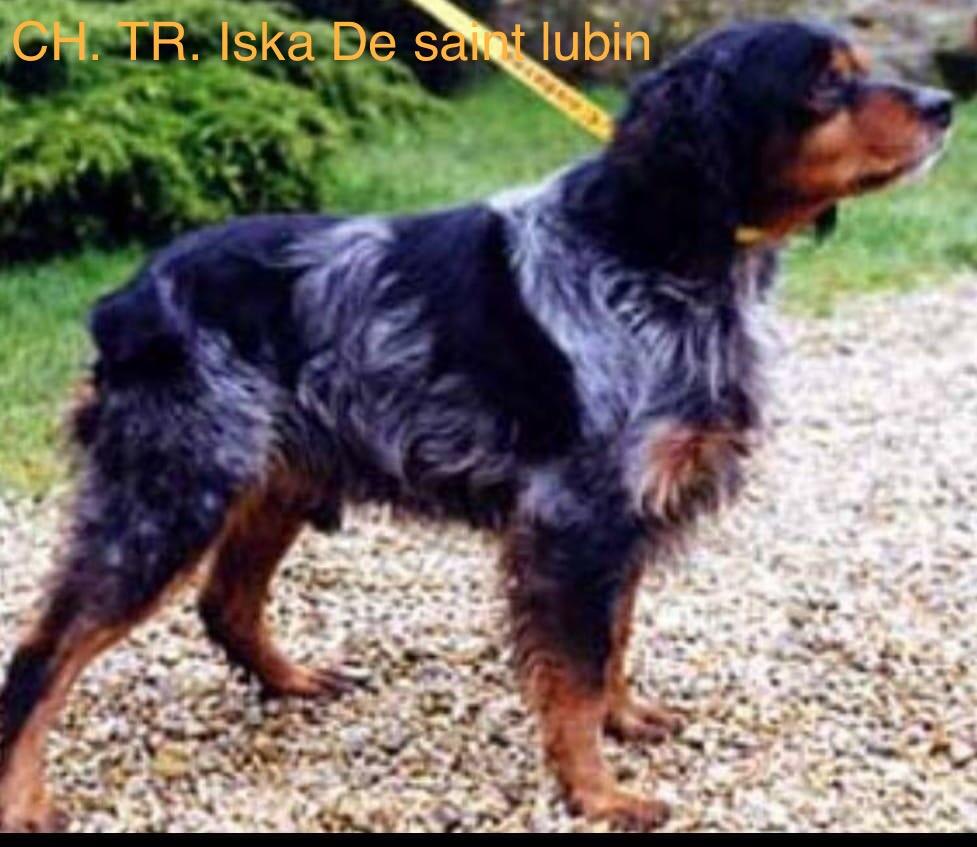 ISKA de Saint Lubin | Brittany 