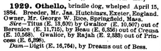 Othello (1884) AKR 001929 | Mastiff 