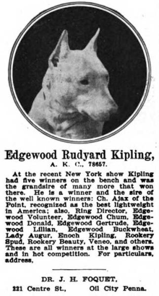 Edgewood Rudyard Kipling (078657) | Bull Terrier 