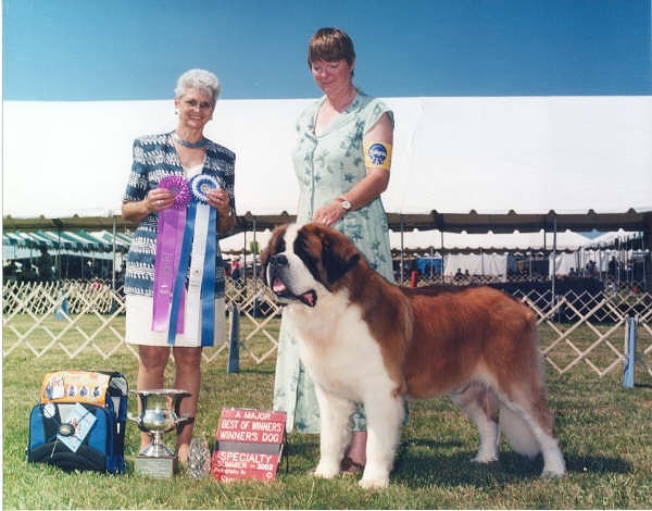 Benbaron's Knight O'Iceman | Saint Bernard 