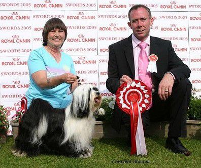 ARAKI AMERICAN ADDICTION AT MIKUDI | Tibetan Terrier 