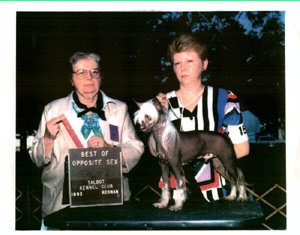 Lou-Gin Black Tie N' Tails | Chinese Crested 