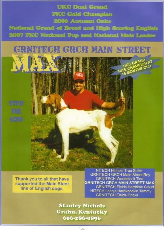 Main Street Max | American English Coonhound 