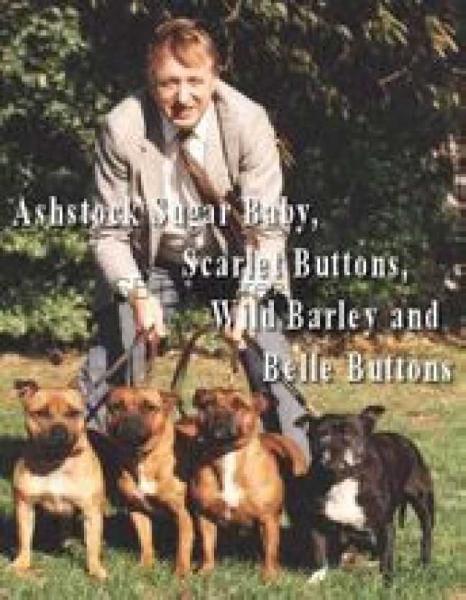 Ashstock Belle Buttons | Staffordshire Bull Terrier 