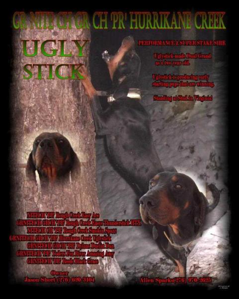 Hurrikane Creek Uglystick | Black and Tan Coonhound 