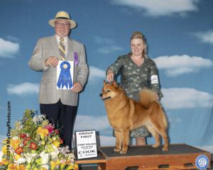 Suomi’s Set Fire To The Rain | Finnish Spitz 