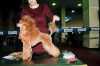 PAN BARHAT VIT MAR ISABELLE ROSSELLINI | Poodle 