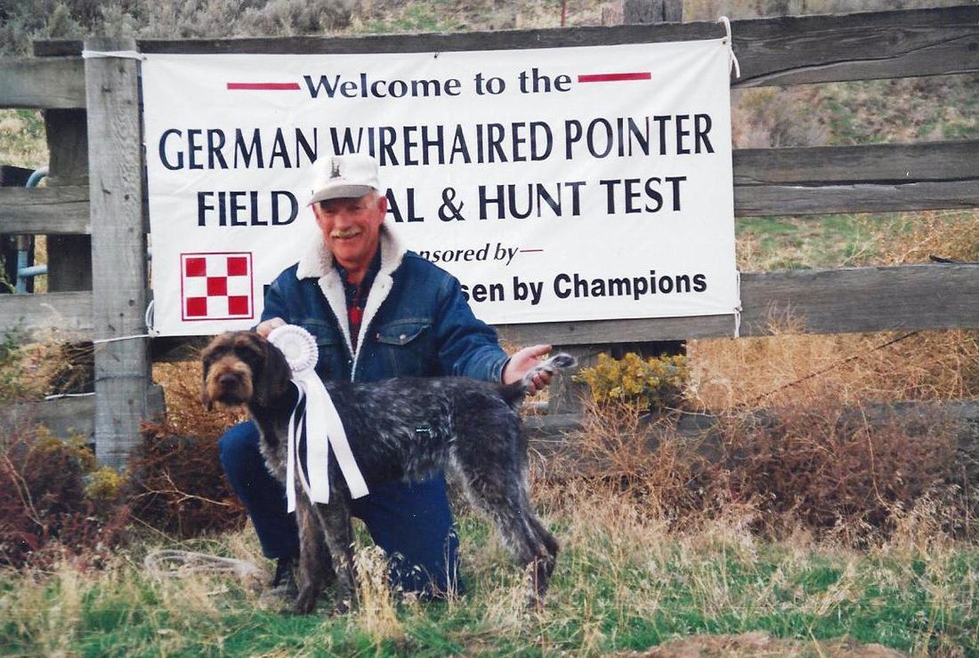 VON DUFFIN'S RKLD CAPPUCCINO | German Wirehaired Pointer 