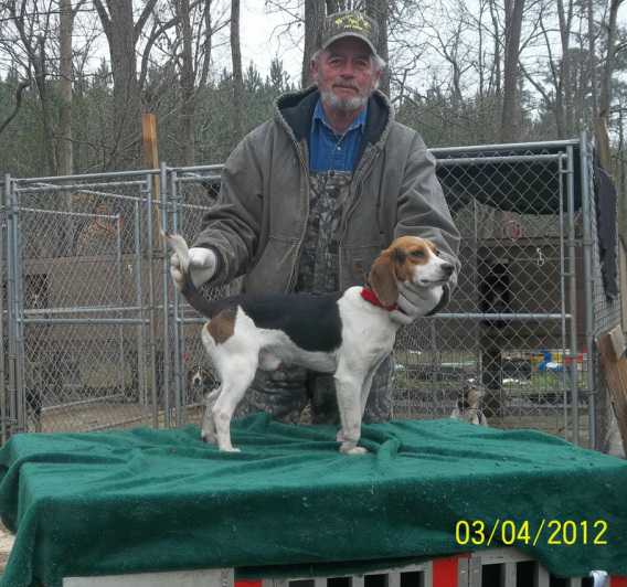 3M's Scott County Poison Pete | Beagle 