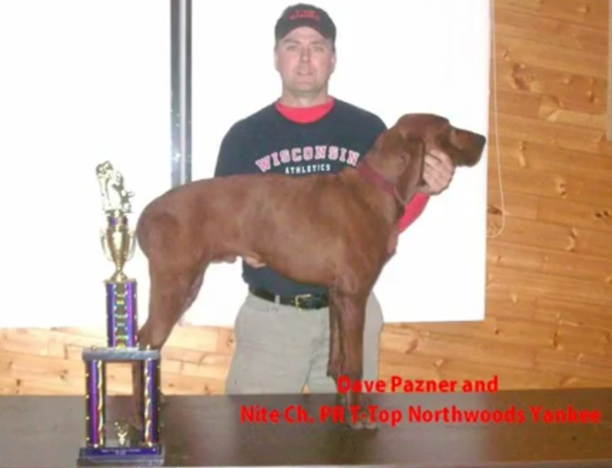 T-Top Northwoods Yankee | Redbone Coonhound 
