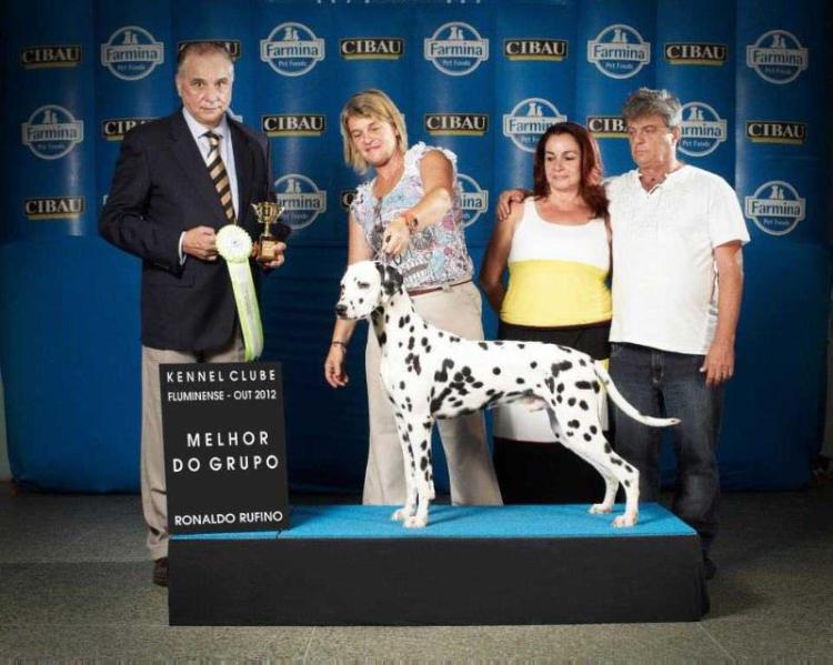 Dalmino Osiris Orion | Dalmatian 