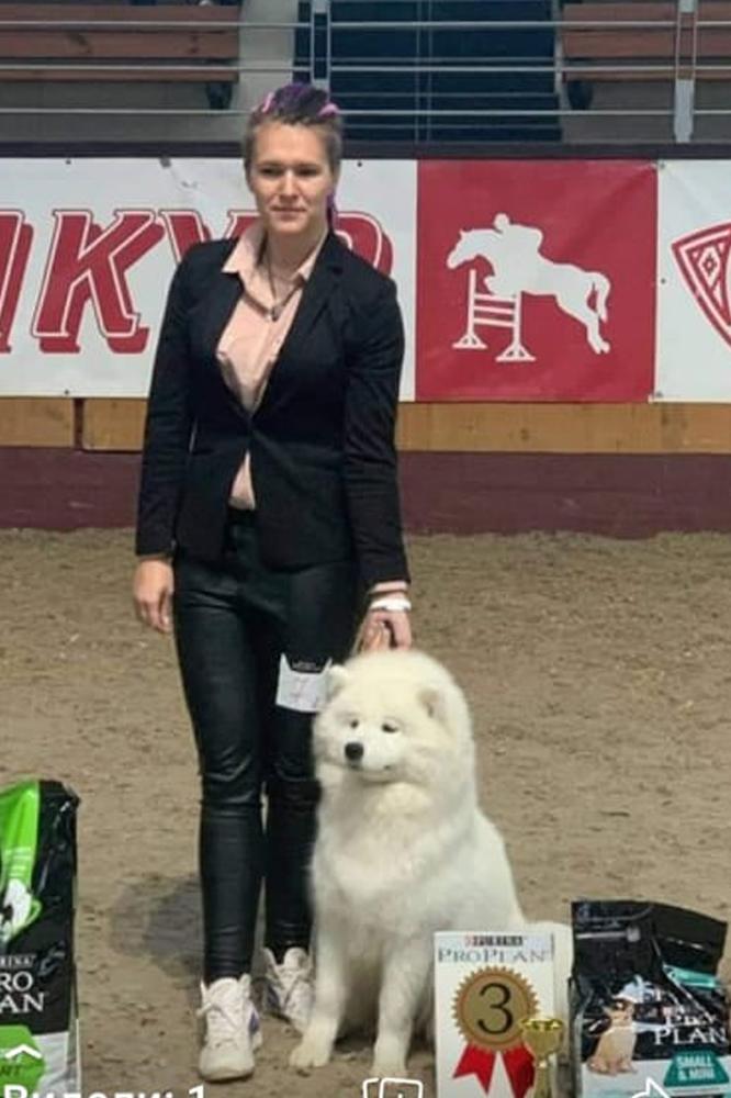 WHITEGOLDTOP DIONISIA | Samoyed 